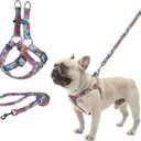 BEAUTYZOO No Pull Dog Harness and Leash Set - Adjustable Step-in Puppy Harness for Small Medium Large Dogs, Escape Proof Soft Nylon Vest with Double D Ring for Walking Running Training, L