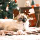 Dog Reindeer Antlers Headband, Pet Christmas Outfit Deer Costume for Medium Large Dogs Cats Halloween Christmas Party (Brown)