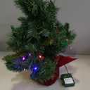 National Tree MJ3-24BGLO-B1 Tree, 24", Green
