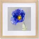 VNVNK 16x16 Frame Natural Wood Color, Perfect for 16x16 Inch Picture without Mat or 12x12 Inch Picture with Mat, Home Wall Decor Picture Frame-1 PCS