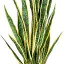 Artificial Snake Plant, 36" Fake Sansevieria with Black Pot, Large Faux Desk Plants for Indoor Home Office Decoration, Perfect Mother in Law Plants