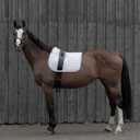 HORZE Vaulting Surcingle, One Size