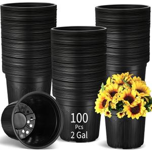 100 Pcs 2 Gallon Plant Nursery Pots Bulk Plastic Planter Flexible Flower Seedlings Pot with Drainage Hole Thickened Seed Starting Container for Flower Succulents Cuttings Transplanting