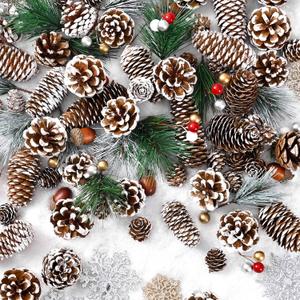 200-Piece Christmas Pinecone Decor Set, Natural Pinecone Acorns Berry Pine Branch Ornaments for Autumn and Winter Crafts Decorating, Bowl Vase Fillers, DIY Crafts Home Xmas Tree Gift Party Supplies