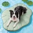 BG-BABYGO Dog Cooling Mat, 39" x 27" Reversible Q-MAX>0.5 Self Cooling Mat for Small & Medium Dogs, Washable Cooling Pad for Pets 3.0 Summer Cats Cooling Pad for Crate Kennel Outdoor Washable Portable