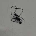 Acoustix Stereo Earbuds - Black