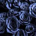 Bormia Floral Wall Mural 3D Blue Rose Wallpaper Flower Murals for Walls for Livingroom Bedroom