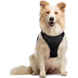rabbitgoo Dog Harness No Pull with 2 Leash Clips, Adjustable Soft Padded, Reflective Oxford No Choke Pet Vest with Easy Control Handle for Medium Sized Dogs, Black, M