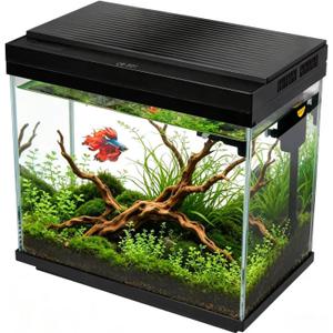 FS&AQ 3 Gallon Fish Tank with Filter and Light No-Install Small Aquarium Starter Kit