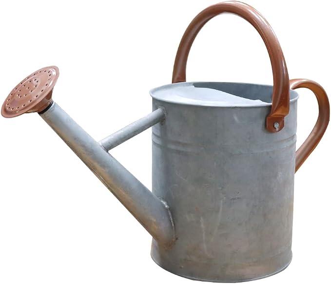 Metal Watering Can 1 Gallon for Outdoor Garden Plants, Zinc Watering Cans Stainless Steel Handhold with Removable Spout,Galvanized Watering Can for Patio, and Houseplants