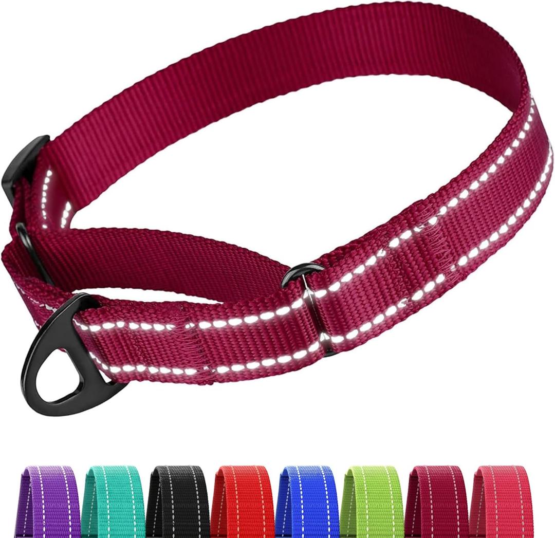 CollarDirect Reflective Martingale Dog Collar Nylon Heavy Duty Training Pet Collars for Small Medium Large Dogs Puppy Black Blue Mint Green Red Pink Purple Dark Red (L, Neck Size 16"-24", Dark Red)