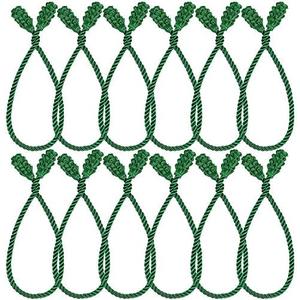 Shappy 12 Pieces Christmas Garland Ties for Banister Christmas Decorative Reusable Flexible Twist Ties for Garland Staircase Home Decoration Holiday Craft Wrapping