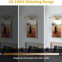DESOOP Battery Operated Picture Light with Remote and Timer, Wireless Art Lights for Paintings Brass Rechargeable Gallery Light Dimmable Artwork Lighting for Canvas, Portrait 16'' Inch Warm White