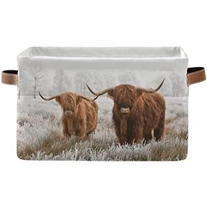 Scottish Highland Cow Storage Basket Fabric Storage Bin Baskets Bull Farmhouse Funny Animal Foldable Storage Boxes Bag for Baby Cloth Dog Toy Book Storage Cubes Shelf Closet Basket 16×12×8 Inches