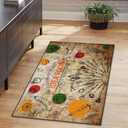 Area Rug, Washable and Non-Slip 2'x3' Retro Vintage Chef Fruit Cafe Dinning Small Indoor Entryway Door Mat, Floor Mat Carpet for Bedroom, Kitchen, Bathroom, Laundry, Living Room