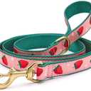 Up Country, Dog Lead Strawberry Fields Pattern Leash with D-Ring, 5 Foot (5 Foot 5/8" Narrow)
