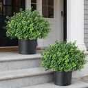 Set of 2 Artificial Boxwood Topiary Trees for Front Door - Faux Realistic Greenery Potted Plants, Fake Outdoor UV-Resistant Bushes with Pots for Porch,Farmhouse,Home,Garden Decor