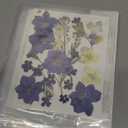 Nuanchu Dried Pressed Flowers for Crafts Resin Pressed Flowers Bulk Purple Dried Wildflowers Leave Natural with Tweezer DIY Christmas Crafts Supplies for Resin Mold Scrapbooking Nail Soap Making (Trend Color)