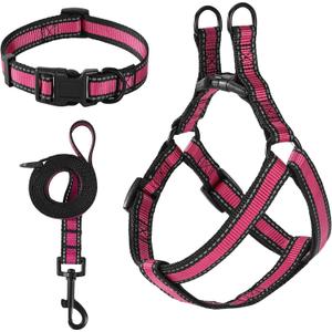 Mile High Life Night Reflective Double Adjustable Band Nylon Small Puppy Pet Dog Combo Collar Leash and Harness Set (Reflective Edge Pink, Large Pack of 3)