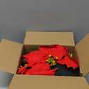 Mini Poinsettias Artificial Plants 2 Pack 9" Faux Small Christmas Flowers in Pot for Home Office Tabletop Indoor Christmas Decorations Red