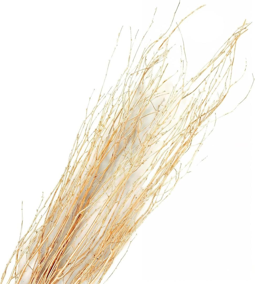 Branches for Vase, 3'4' Natural Birch Tree Branches for Decoration, Bundle of 10 Tall Decorative Sticks for Vases, Rustic Wood Branches for Crafts, Weddings, Seasonal & Home Decor - Gold
