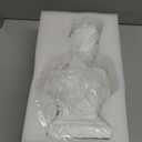 WUBIANJIE 12" Artemis Bust Large Greek Goddess Statue Office Bookshelf Home Dressing Resin Goddess Statue Young Venus Plaster Portrait Lovers Collectibles