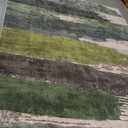 Ciicool Modern Abstract Green Rug for Living Room, 8'x10' Machine Washable Area Rug Non-Slip Rug, Low-Pile Contemporary Indoor Dining Floor Carpet for Bedroom Office Under Table Home Decor