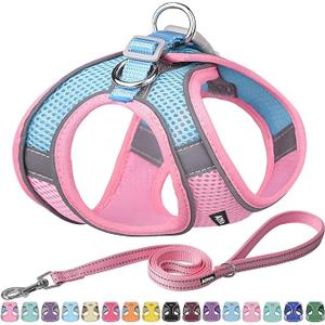 AIITLE No Pull Dog Harness and Leash Set, Step in Adjustable Dog Harness with Padded Vest for All Weather, Dog Leash with Soft Padded Handle, Easy to Put on Small and Medium Dogs Pure Pink S