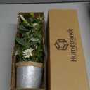 Artificial Flowers Potted, 12.2' Small Flower Arrangement with White Daisy Lavender in Metal Pot, Fake Floral Centerpieces for Tables Spring Summer All Season Home Indoor Decaorations