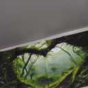 AWERT 24x12 inches Polyester Tropical Rainforest Terrarium Background Stream Green Huge Tree Reptile Habitat Background Foggy Rainforest Aquarium Background