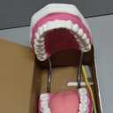 Giant Teeth Dental Demonstration Model with Toothbrush, Enlarged 6 Times Standard Size Mouth Model, Denture Teaching Model for Teaching and Study