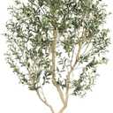 Faux Olive Tree with Tall Exquisite Planter | Realistic Olive Trees Artificial Indoor with Thick Trunk and Lifelike Leaves - Large Fake Olive Tree for Home Office Decor