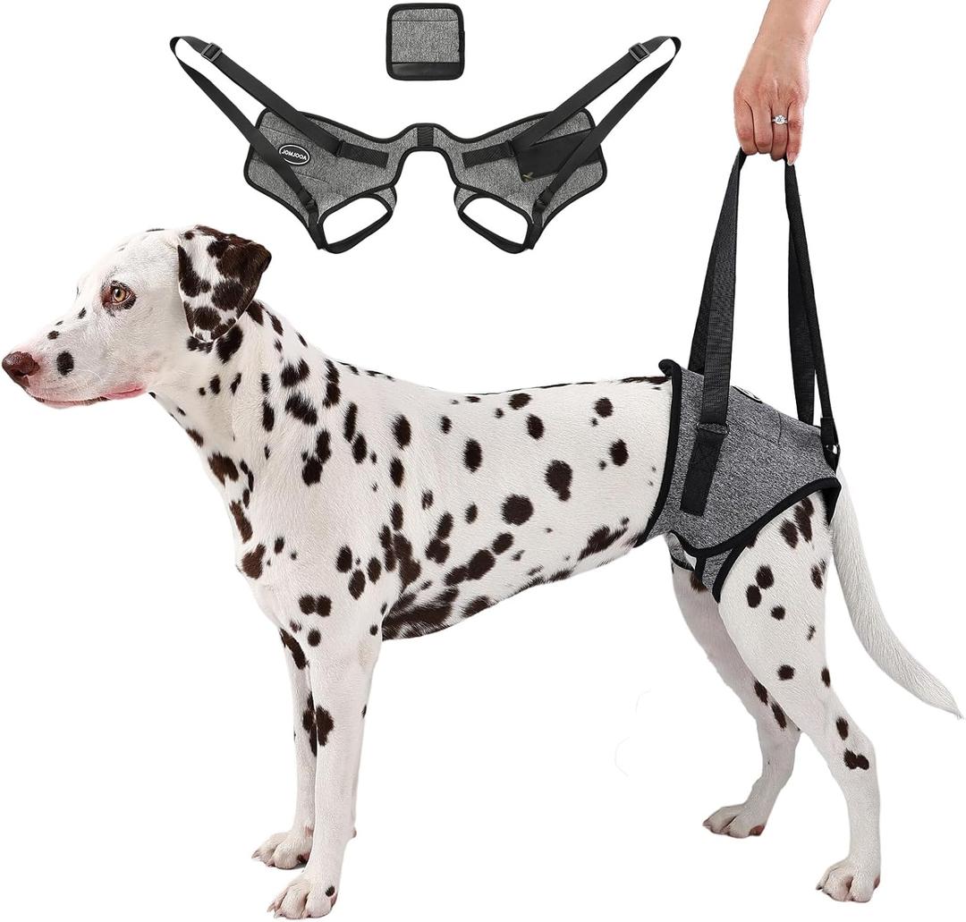 Dog Sling for Medium Large Dog Rear Leg, Lift Harness Provide Support with Muscle Atrophy and Joint Problems for Elderly Injured Arthritic Pet, Dog Weak Rear Legs Provides Rehabilitation Aid (XL-Waist(24"-30"), Light Grey)