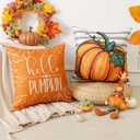 2 x Artscope Fall Decorative Throw Pillow Covers 18x18 Inch Set of 4 Fall Gifts for Home Decor, Striped Autumn Pumpkin Maple Leaves Harvest Decoration Pillow Cases for Home Sofa Couch Decor-Orange C