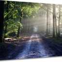 Landscape Canvas Poster Print Wall Art Nature Forest Sunrise Wall Decor Picture Trees Beautiful Scenery Green Theme Painting Artwork for Modern Home Bedroom Kitchen Stretched and Framed [24''Wx18''H]