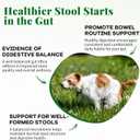 Probiotics for Dogs - Dog Probiotics & Enzymes 12 Billion CFU 10 Strains, Psyllium Husk, Apple Cider Vinegar Gut Health, Bloating Relief, Regularity Support 120 Chews