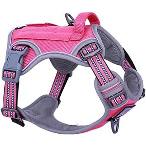 BUMBIN Tactical Dog Harness for Small Dogs No Pull, Famous TIK Tok No Pull Puppy Harness, Fit Smart Reflective Pet Walking Harness for Training, Adjustable Dog Vest Harness with Handle Pink S