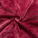 TASTHROW Large Flannel Fleece Throw Blanket, 6080 Inch - Cozy Lightweight Thick Blanket - All Seasons Suitable for Women, Men and Kids (Burgundy)