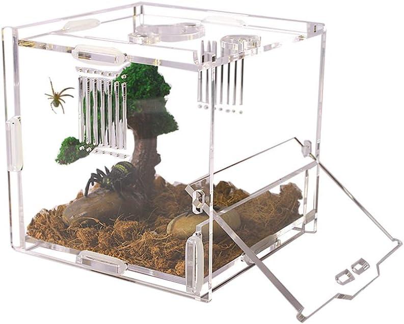 Acrylic Jumping Spider Enclosure, Small Reptile Terrarium Habitat for Tarantula Snail Insect Small Reptile (4.5x4.3x4.1inch)
