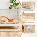 Hamster Cage & Guinea Pig Cages,Fully Transparent and Eco-Friendly Large Acrylic Cage for Small Animal Pets,Such as:Bearded Dragon,Rat,Hedgehog,Chameleon,Iguana (27.5Lx16.9Wx13.4H Inches)