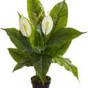 Nearly Natural 26 Spathiphyllum Artificial (Real Touch) Silk Plants Green