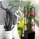 2PCS Dragon Fruit Trellis for Climbing Plants Indoor Outdoor, Heavy Duty Metal Adjustable Vertical Garden Support for Indoor Outdoor Potted Plants, Tomato, Cactus, Roses,Vines(12 * 12 * 47inch,2PC)