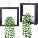 2 Pack Fake Plants Hanging, Artificial Succulents Plants in Square Wooden Frame with LED Lights, Boho Wall Decor for Office Living Room Bathroom Bedroom Kitchen Indoor Outdoor, Black