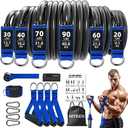 Heavy Resistance Bands for Working Out, NITEEN Resistance Bands with Handles Weight Exercise Bands for Men Women, Workout Bands with Door Anchor and Ankle Straps Strength Training Equipment, Style: 310lbs Heavy Pro