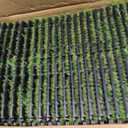 Artificial Grass Tiles Interlocking Turf Squares Deck 27 Pack -12"x12" Indoor Outdoor Faux Grass Rug with Drainage Holes-Fake Grass Tiles Self-draining for Garden Lawn Landscape Balcony Decoration