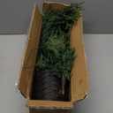 Waipfaru Small Christmas Tree with Lights, 3 FT Pre-Lit Mini Christmas Tree Potted, Artificial Real Touch Realistic Cedar Xmas Trees for Front Porch Outdoor Indoor Garden Farmhouse Home Decor