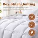 Cosybay Full Size Feather Down Fiber Comforter - Ultra Soft 100% Cotton Duvet Insert, All Season Hotel Luxury Bedding with Corner Tabs, 82"x86" White
