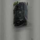 Hanes Women's Plush Comfort Toe Seam No Show Socks, 6-Pair Pack (Black)