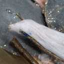 Briful 10 Large Heads Christmas Glitter Magnolia Flowers Christmas Tree Ornaments Set of 3 Artificial Flowers with Picks Stems for Xmas Tree Holiday Decorations, Rose Gold