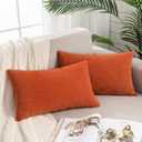 GAWAMAY Lumbar Pillow Decorative Rectangle Throw Pillow Covers 12"x20" Inch Set of 2, Super Soft Chenille Pillowcase for Living Room Bedroom Sofa Couch Cushion Cover Burnt Orange 30x50cm (ONLY COVERS)